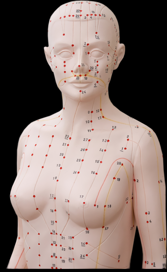 &copy; Dr. med. Ansgar Römer